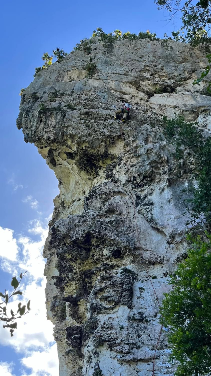 Can you spot Hunter?