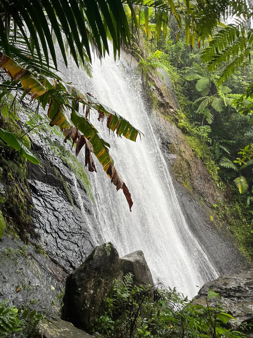 El Yunque
