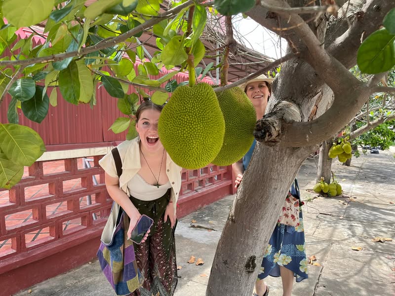 Jack fruit