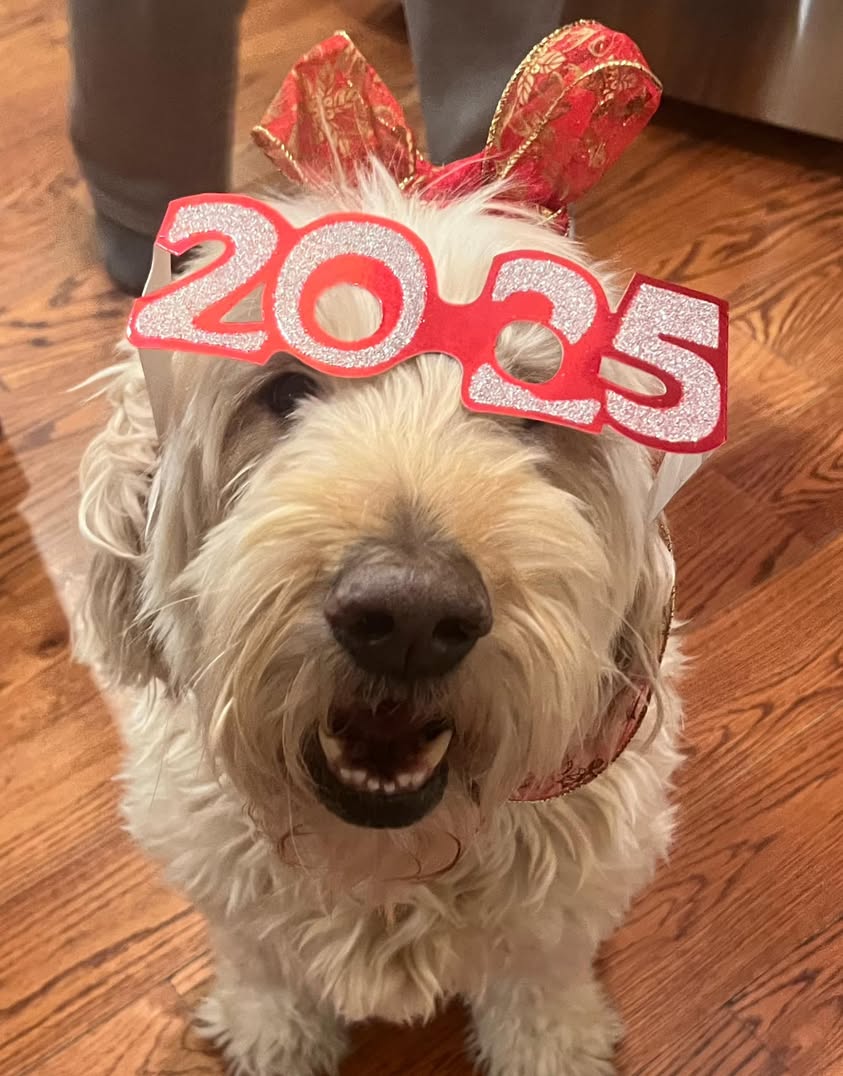 New Year's Eve