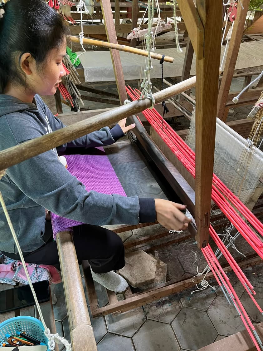 Silk handloom